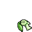 dead chikorita
