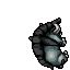 dead donphan