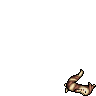 dead furret
