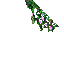 flowery wall