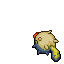 dead qwilfish