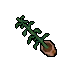 indoor plant