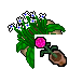 big flowerpot