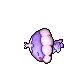 dead shiny jellicent female