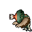 dead Shiny Hisui Decidueye