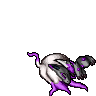 dead Shiny Hisui Zoroark