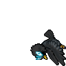 dead Shiny Hisui Braviary