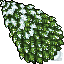 snowy fir tree
