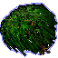 magic tree