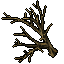 dead tree