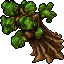 dwarf tree