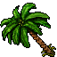 palm