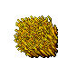 wheat