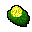 water lily