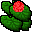 water lily