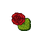 Animated Flower