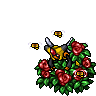 Vespiquen Pollination