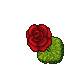 Animated Flower