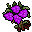 rose bush