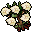 rose bush