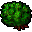 bush