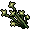 swamp plant