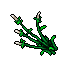 swamp lilly