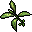frog leaf