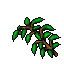 swamp plant