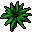 swamp flower