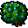 blueberry bush
