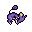 dead spider