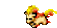 dead bear