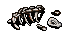dead bear