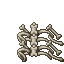 Bone Table