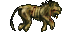 dead lion
