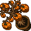 Pumpkin Tree