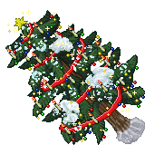 Biggest Christmas Tree
