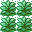 tall grass