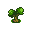 Bush