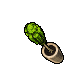 Simple Plant Jar