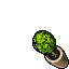 Simple Plant Jar