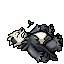 dead pangoro