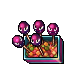 Gastly Candys