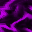 Purple Energy Carpet