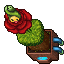 Budew Depot