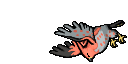 dead talonflame