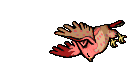 dead shiny talonflame