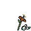 dead floette orange