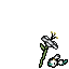dead floette white